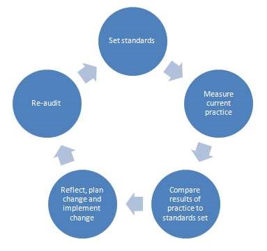 Audit cycle diagram